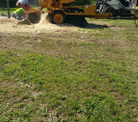 Johnson & Son Tree Service - Slocomb, AL