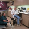 VCA Animal Hospitals gallery