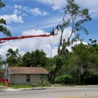 Clearcut Tree Service