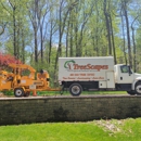 Treescapes Tree Experts - Tree Service