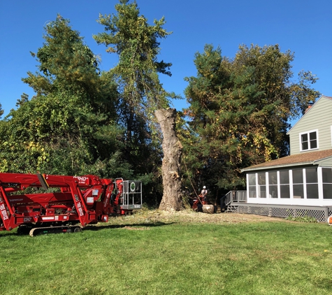 ASC Tree Service INC - Derry, NH