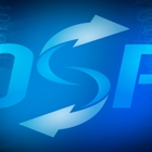 One Safe Place USA (OSP)