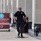 Firearm and Security Training Center