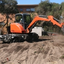 Bruce Helsel Tree Farm & Tree Removal - Nurseries-Plants & Trees