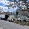K and T Tree Service gallery