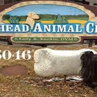 Flathead Animal Clinic