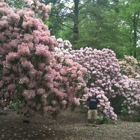 Tyler Arboretum