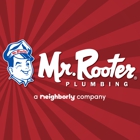 Mr Rooter