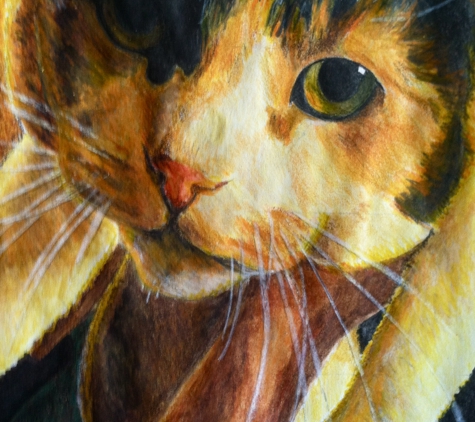 ACE Artwork - Pet Portraits - Astoria, NY