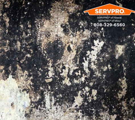 SERVPRO of Hawaii | SERVPRO of Maui - Kailua Kona, HI