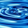 Photo #11