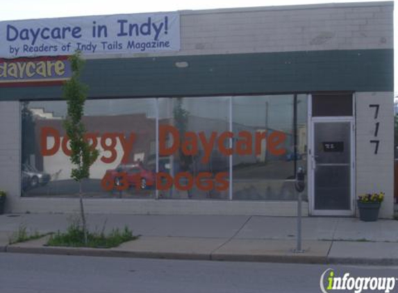 Tender Loving Pets Doggy Daycare Inc - Indianapolis, IN