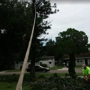 Dave & Jo's Tree Service & Stump Grinding