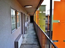 Gallery Image Number 1