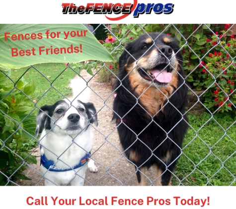 The Fence Pro's - Rochester, MN