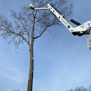 Friendly Tree Service Inc - Arborists