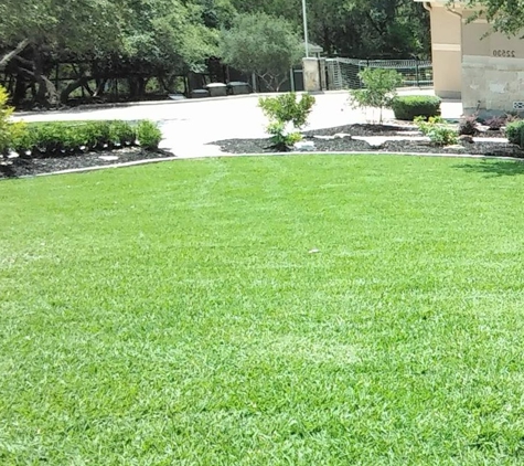 Lone Star Turf and Landscape LLC - San Antonio, TX