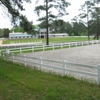 Hidden Forrest Equestrian Center gallery