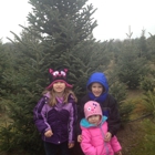 Candy Cane Christmas Tree Farm