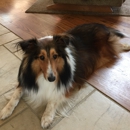 John's Veterinary Clinic Dr - Veterinary Clinics & Hospitals