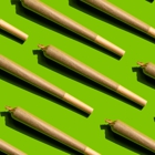 Cannavibes Dispensary Elmwood Park NJ