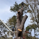 Patriot Tree - Tree Service