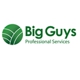 Big Guys Professional Services