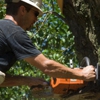 Spotswood's Tree Service gallery