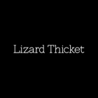 Lizard Thicket Boutique