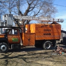 Hoover's Tree Service - Tree Service