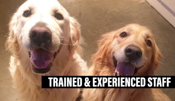 Grindelwald Kennels & Cattery - Legana, TAS. Trained & Experienced Staff
