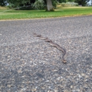 Lake Walcott State Park - State Parks