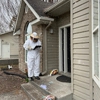 Insight Pest Solutions gallery