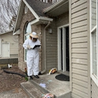 Insight Pest Solutions