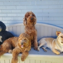 Dog House Denver - Pet Services