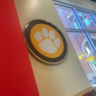 Which Wich