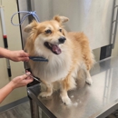 VCA Lake Jackson Animal Hospital - Veterinarians
