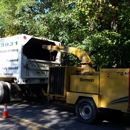 Top Notch Tree Service Inc - Tree Service