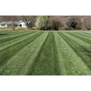 Quick Trim Lawn And Snow Removal Service - Landscaping & Lawn Services
