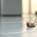 AB Pest Control - Pest Control Services