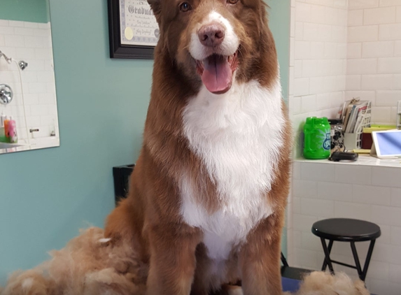 Dogwood Grooming Spa - Knoxville, TN