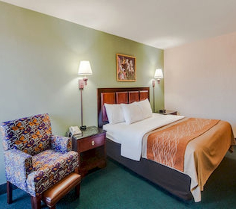 Comfort Inn Virginia Horse Center - Lexington, VA