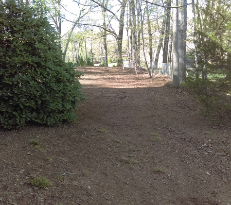 Lewis' Lawn Care - Asheboro, NC. Leaf removal