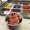 YogurtLand gallery