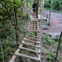 TreeRunner Grand Rapids Adventure Park