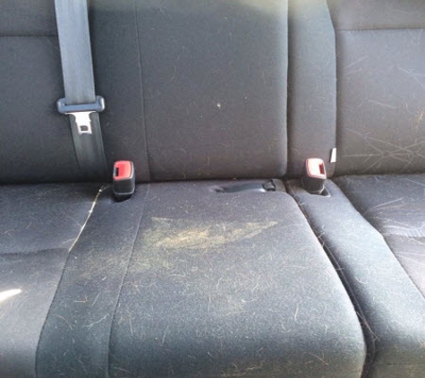 A1 Carpet & Upholstery Specialists - Hobart, TAS