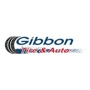 Gibbon Tire & Auto