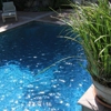 Pasadena Pool Builder gallery