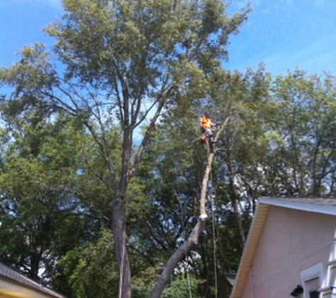 E-Z Tree Care - Jacksonville, FL