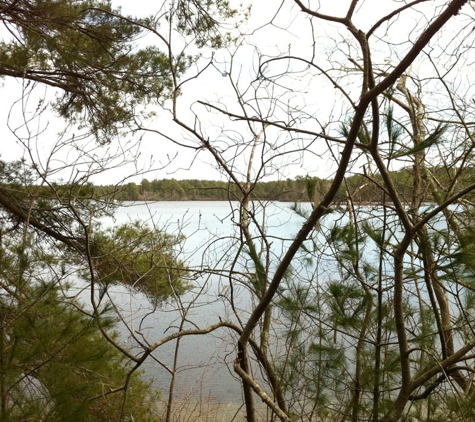 Myles Standish State Forest - Carver, MA